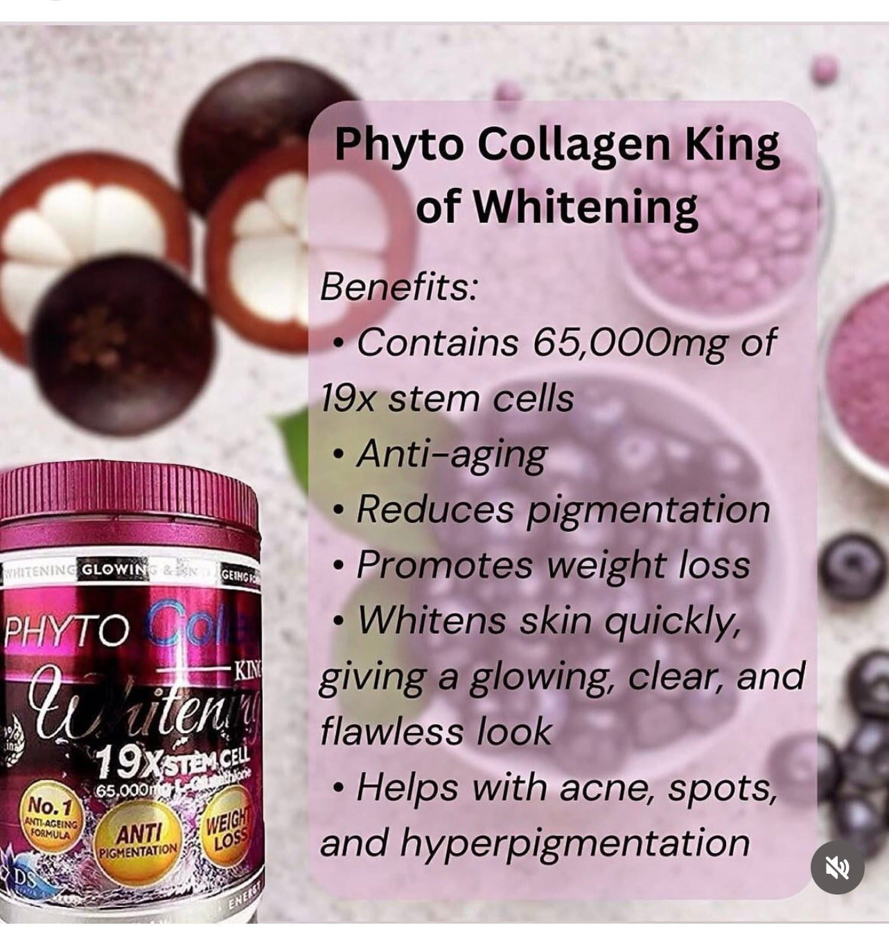 Phyto collagen supplement
